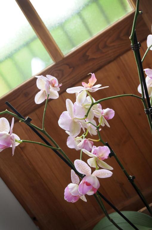 Les Songes De L'Abbaye Bed & Breakfast Cadouin Oda fotoğraf